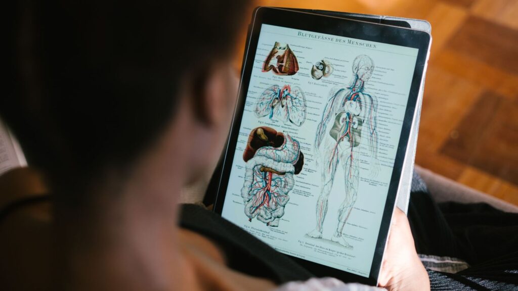 Person reading medical guidelines on a tablet to check whether PEP is needed after oral sex