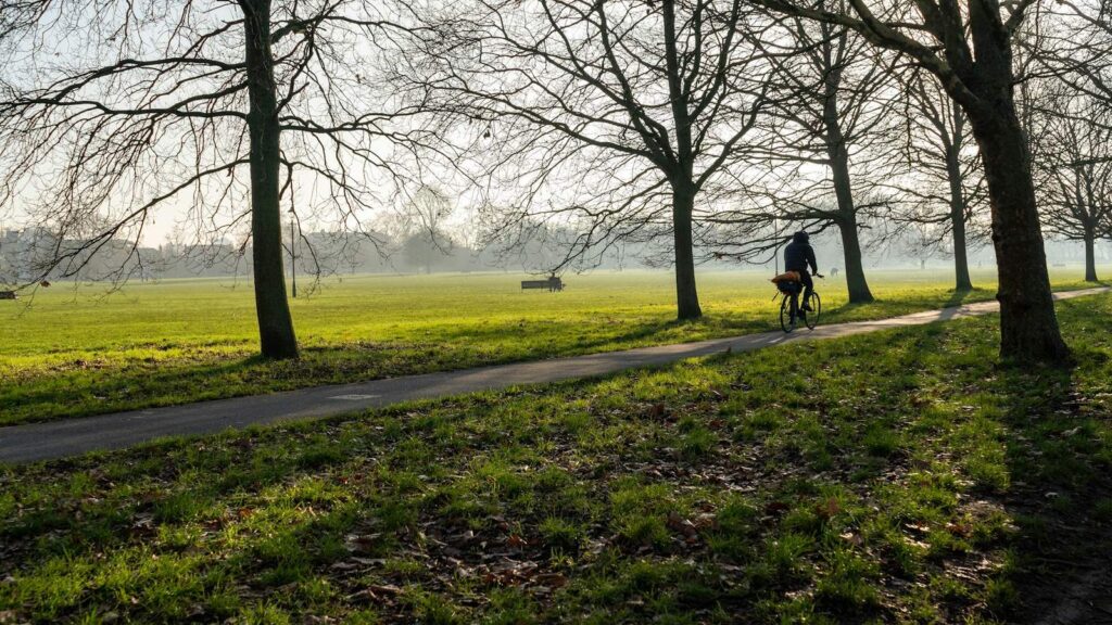 Person walking along a park path, taking time to breathe after getting a test result
