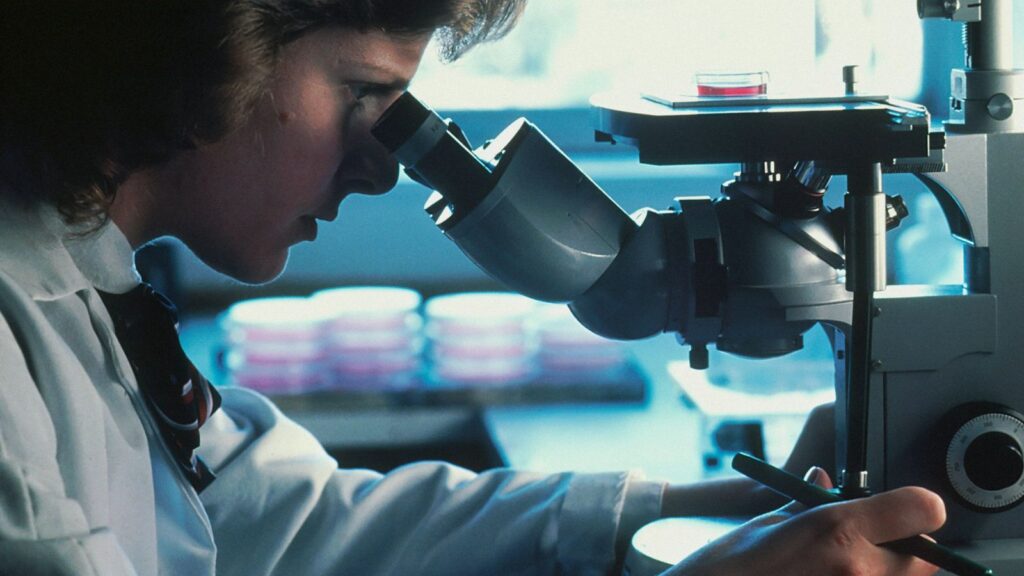 Scientist at a microscope in a laboratory analysing samples for sexually transmitted infections
