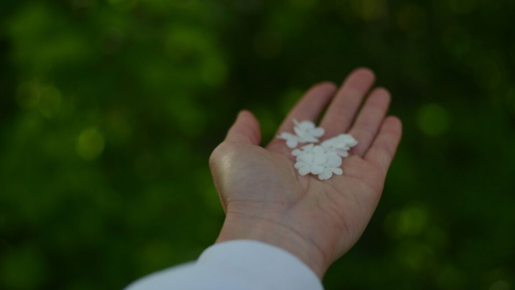 White tablets in an open hand, a reminder that PrEP only protects when doses are taken as prescribed